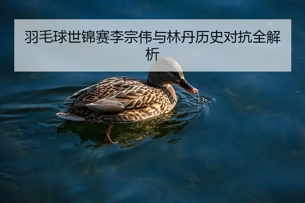羽毛球世锦赛李宗伟与林丹历史对抗全解析